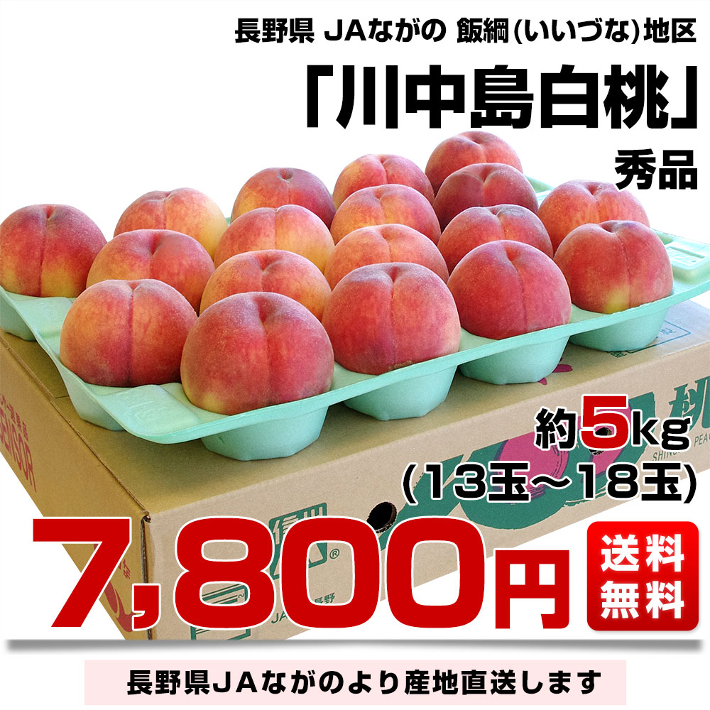 長野県より産地直送 JAながの 飯綱(いいづな)地区 川中島白桃 秀品 約5キロ (13玉から18玉) 送料無料 もも モモ