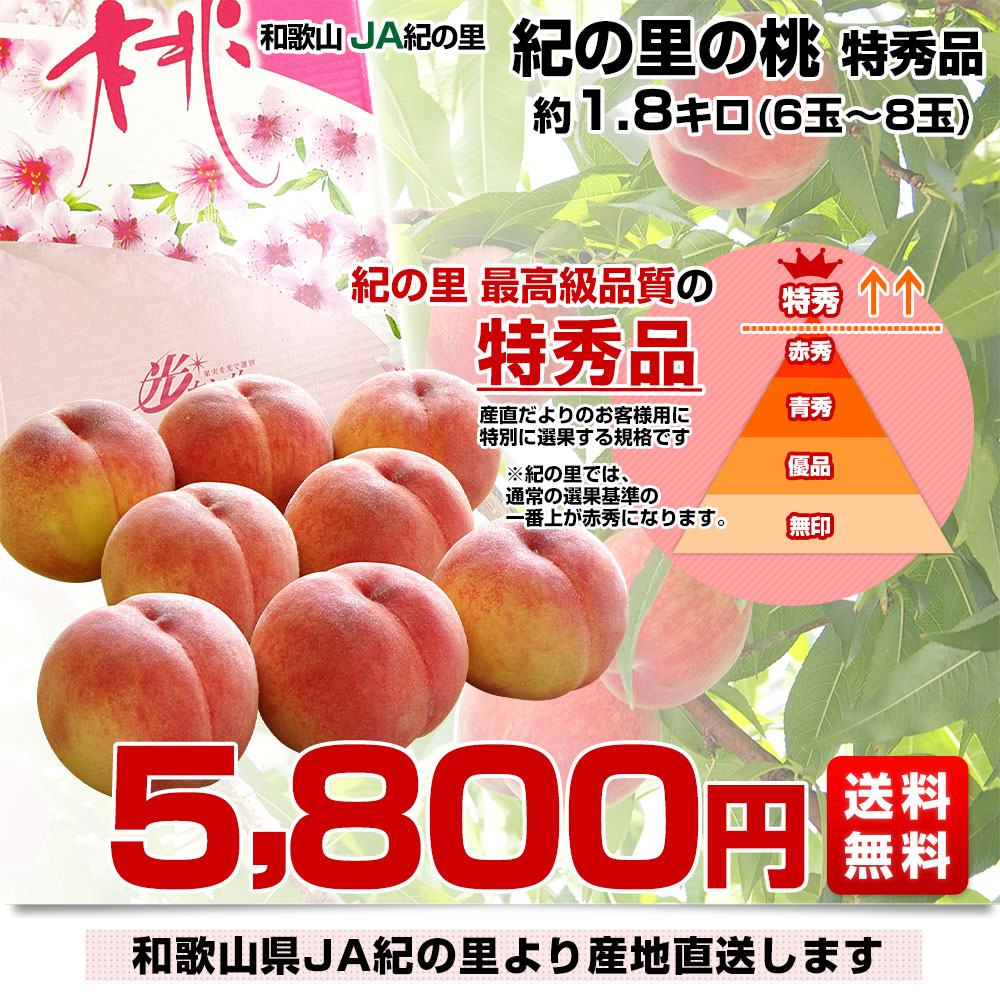 和歌山県より産地直送 JA紀の里 紀の里の桃 特秀品 1.8キロ (6玉から8玉) 送料無料 桃 もも |  | 02
