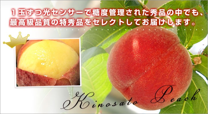 和歌山県より産地直送 JA紀の里 紀の里の桃 特秀品 1.8キロ (6玉から8玉) 送料無料 桃 もも |  | 04