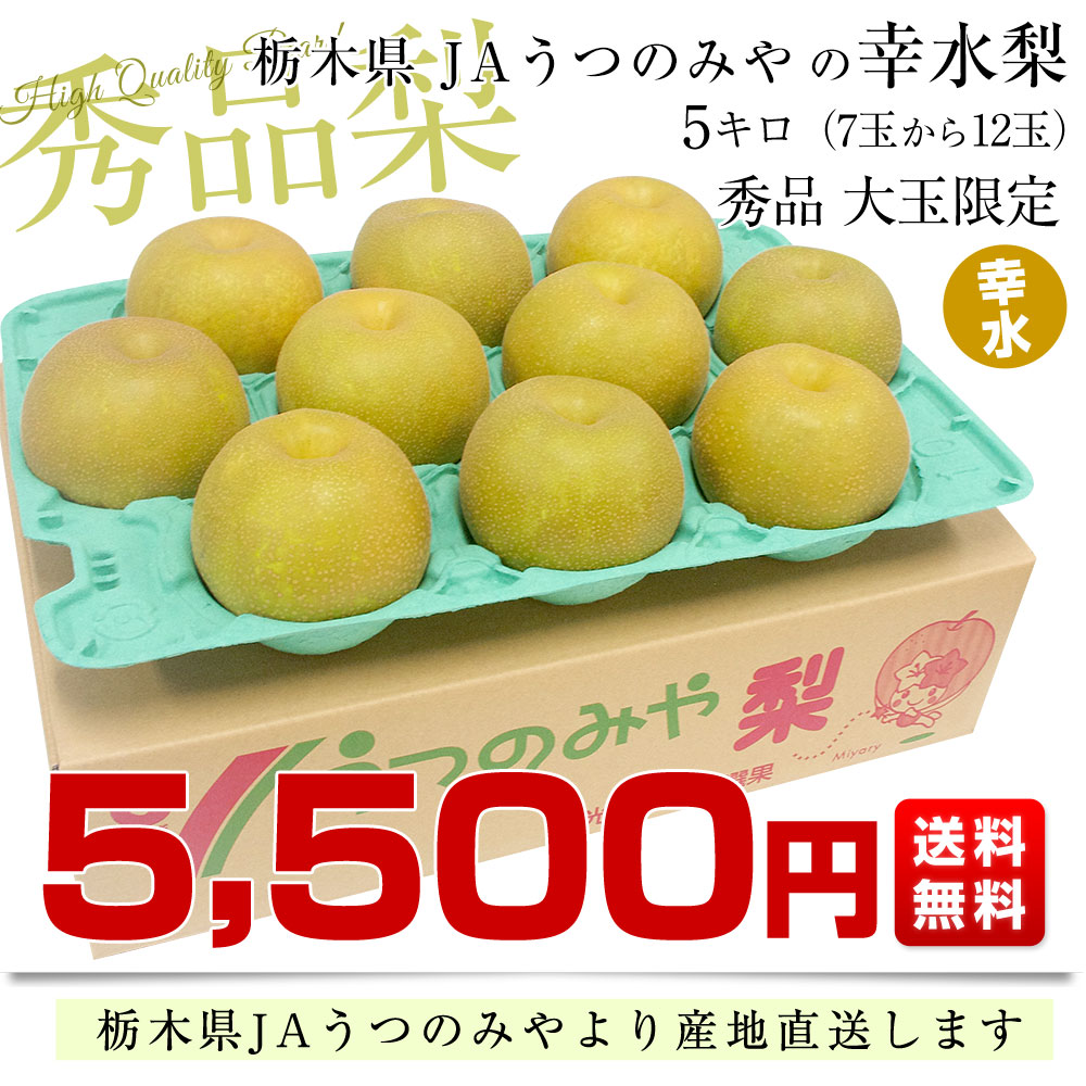 梨 幸水のおすすめ人気商品一覧 通販 - Yahoo!ショッピング