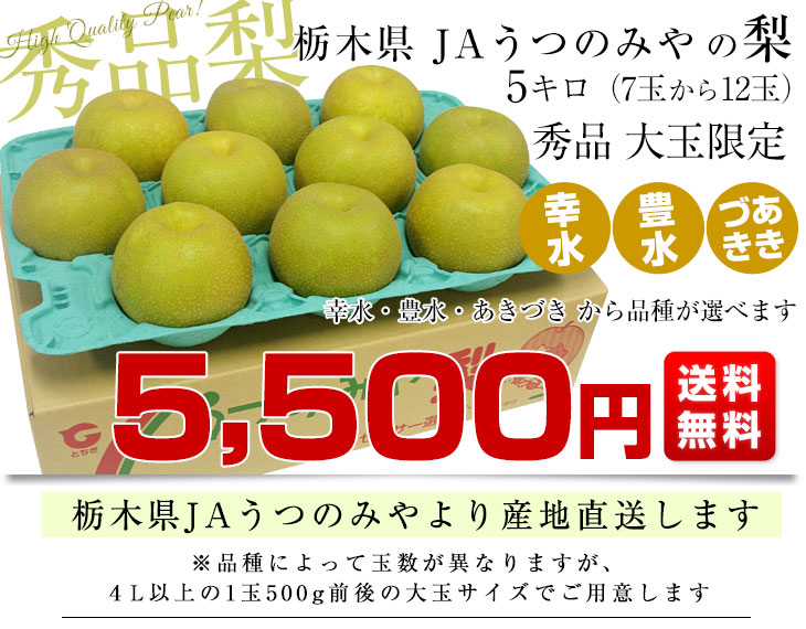 激安商品 千葉県産 新高梨１０ｋｇ 14玉 7L 〜20玉 5L 220_22梨