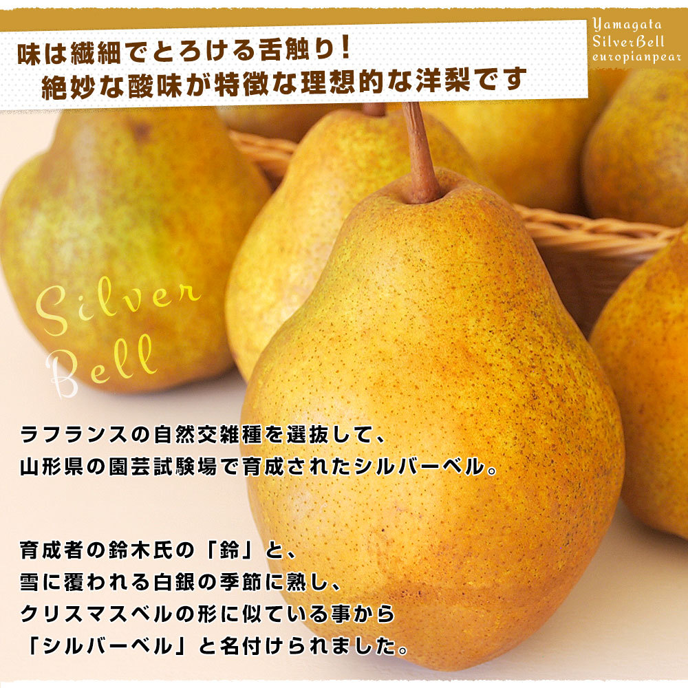 山形県産 JAさがえ西村山他 洋梨シルバーベル 秀 5キロ (9玉から14玉) 送料無料 洋梨 ようなし :1238872674:産直だより - 通販  - Yahoo!ショッピング