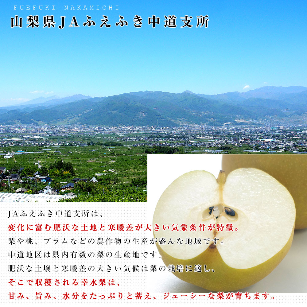 山梨県より産地直送 JAふえふき中道支所 選べる中道の梨（幸水梨／豊水梨）青秀品　約2キロ（5玉から6玉）送料無料 ナシ なし |  | 05