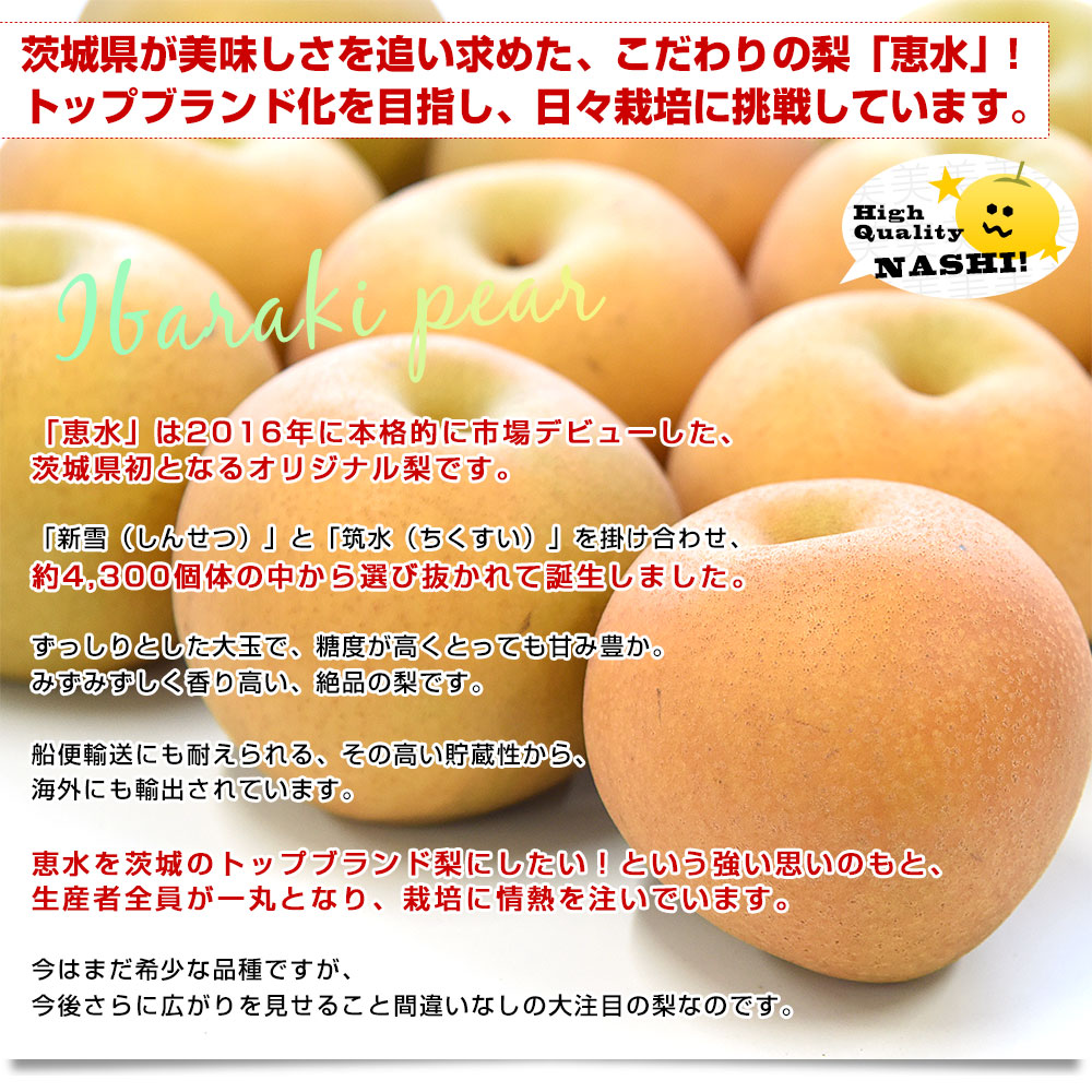 茨城県産 梨 恵水 優品以上 大玉 約2キロ（4玉から6玉入り）送料無料