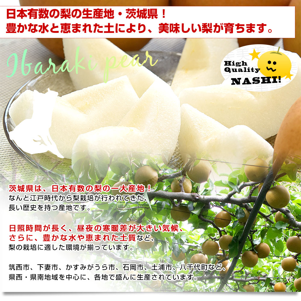 茨城県産 梨 恵水 優品以上 大玉 約2キロ（4玉から6玉入り）送料無料