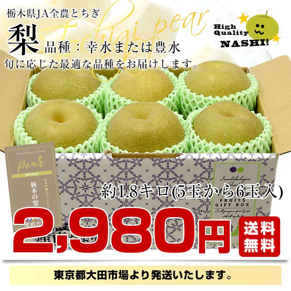 栃木県 JA全農とちぎ 幸水梨 秀品 約1.8...の詳細画像2