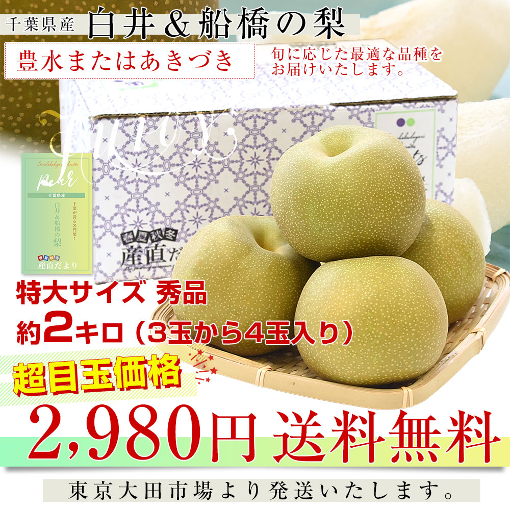 千葉県産 白井&船橋の梨(豊水またはあきづき)...の詳細画像2