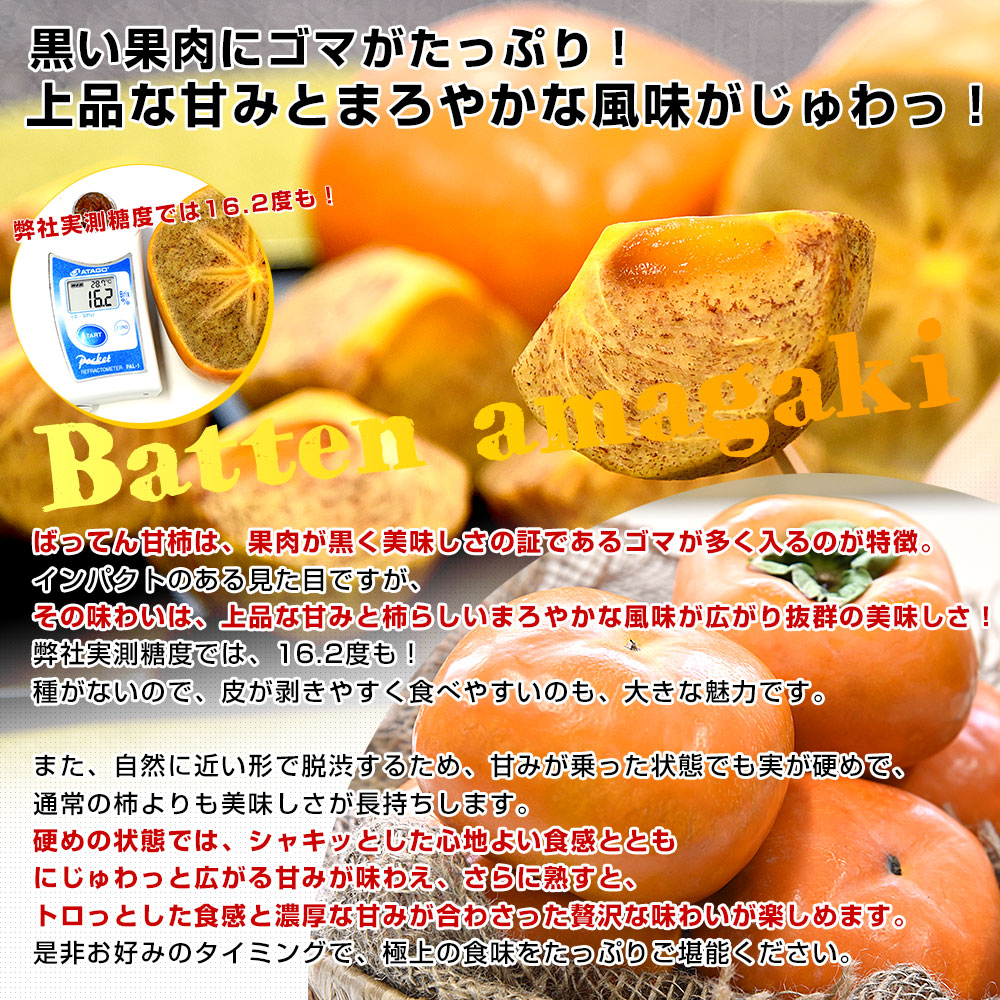 熊本県から産地直送 JAかみましき ばってん甘柿 ご家庭用 3Lから4L