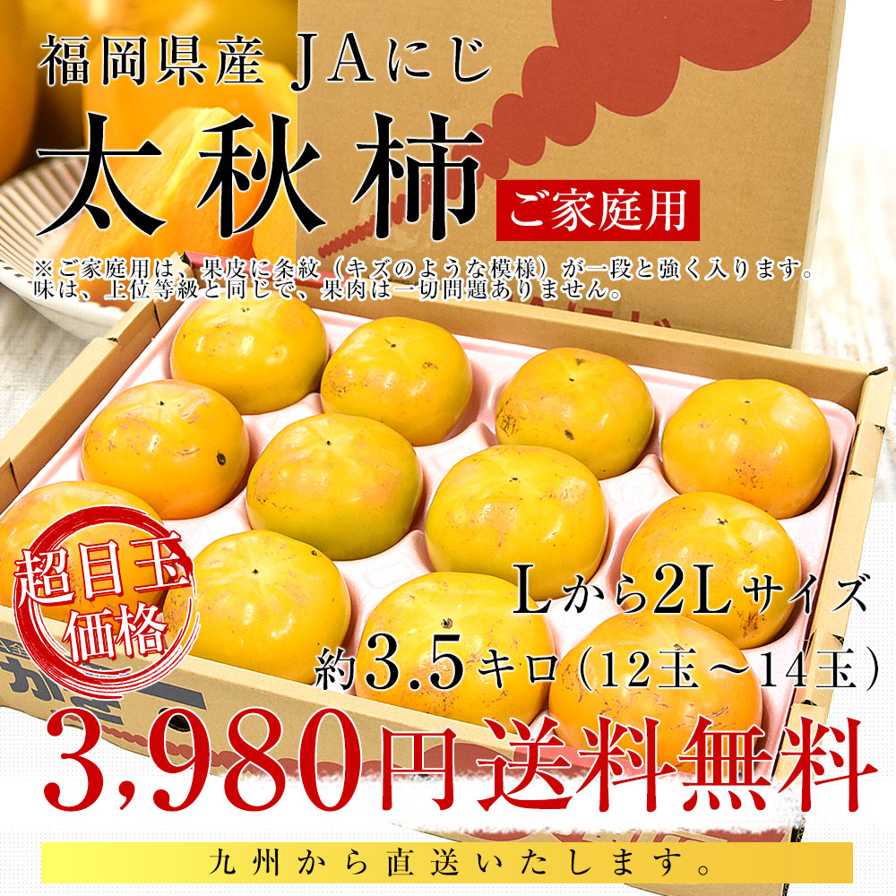 福岡県産 JAにじ 太秋柿 ご家庭用 Lから2Lサイズ 約3.5キロ（12玉から