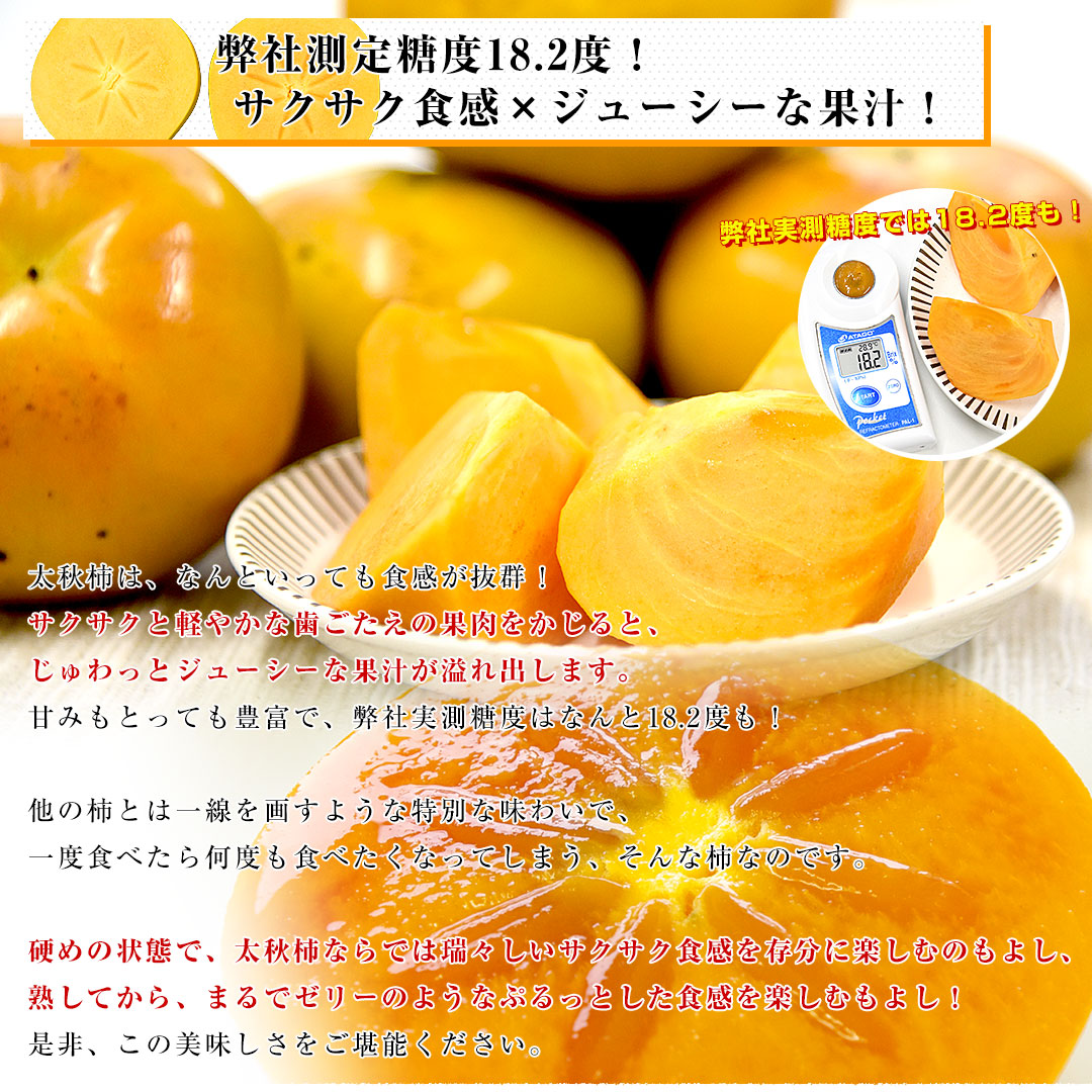 福岡県産 JAにじ 太秋柿 青秀以上 超大玉4Lから5Lサイズ 約3.5キロ（8