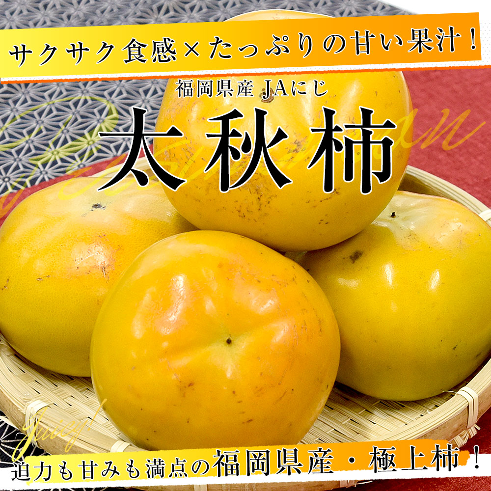 福岡県産 JAにじ 太秋柿 青秀以上 大玉2Lから3Lサイズ 約3.5キロ（10玉
