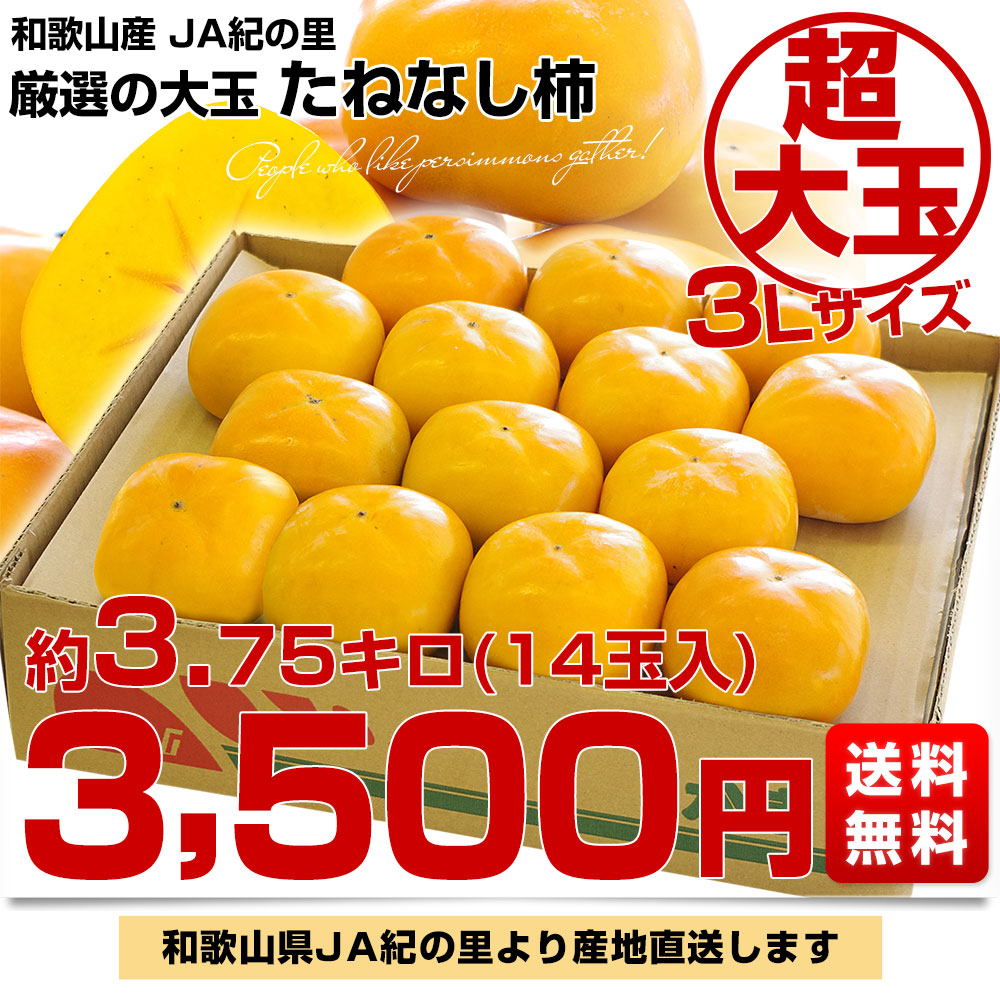 和歌山県より産地直送 JA紀の里 たねなし柿 大玉3Lサイズ 約3.75キロ(14玉入) カキ かき 柿 送料無料 :123585893:産直だより  通販 