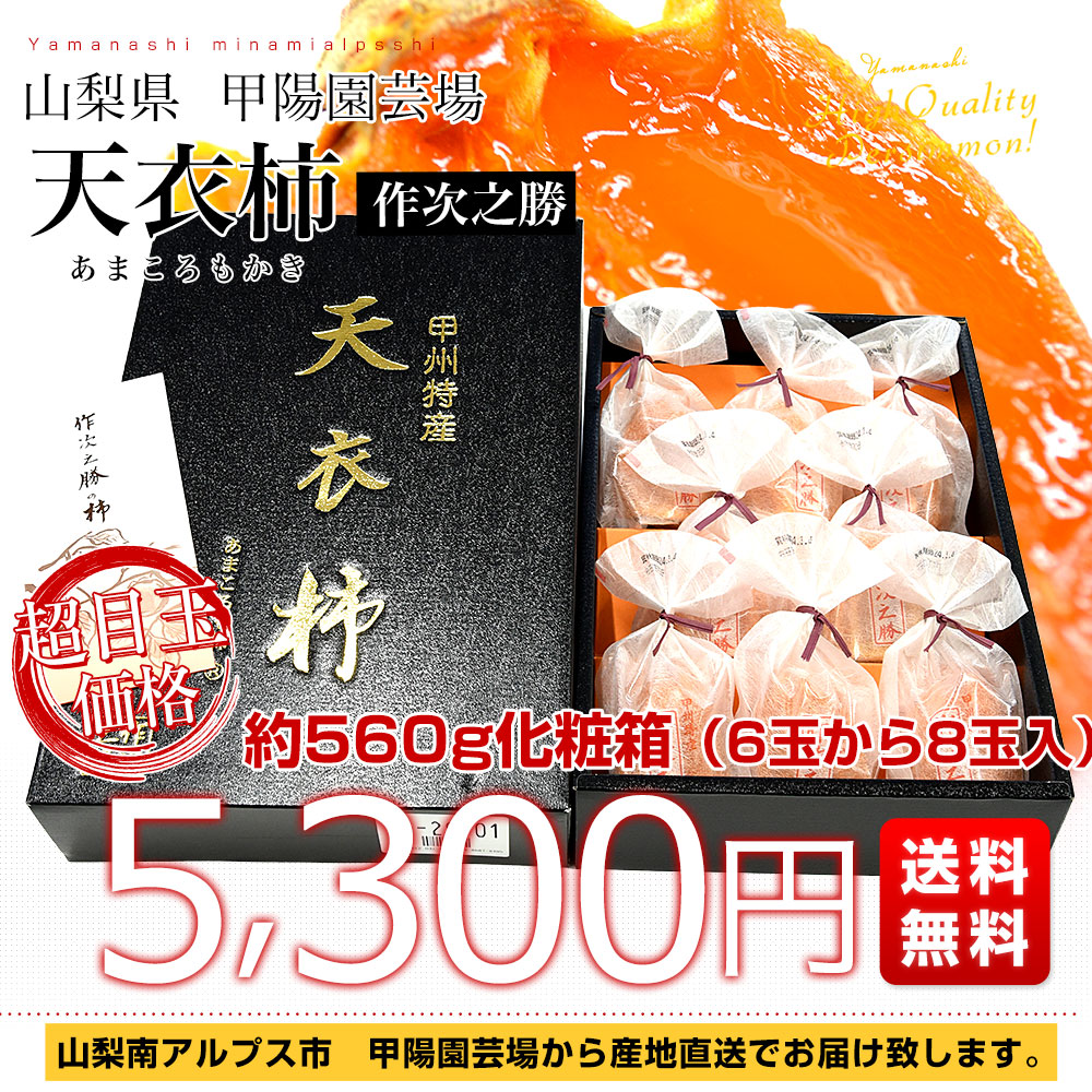 山梨県 産地直送 南アルプス市 甲陽園芸場 天...の詳細画像2