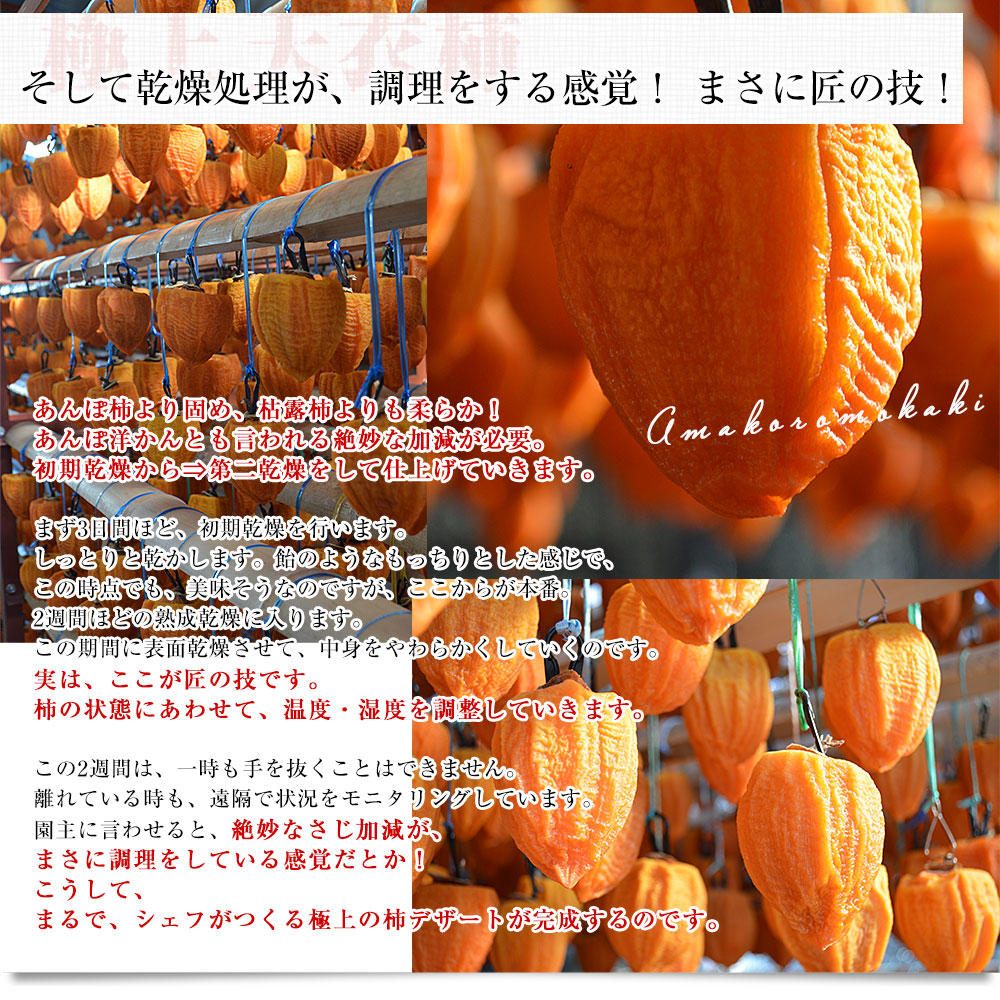 山梨県 産地直送 南アルプス市 甲陽園芸場 天...の詳細画像5