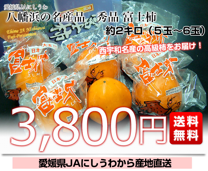 愛媛県より産地直送 JAにしうわ 富士柿 秀品 約2キロ(5玉から6玉) 送料無料 柿 かき ふじがき :125099569:産直だより - 通販 -  Yahoo!ショッピング