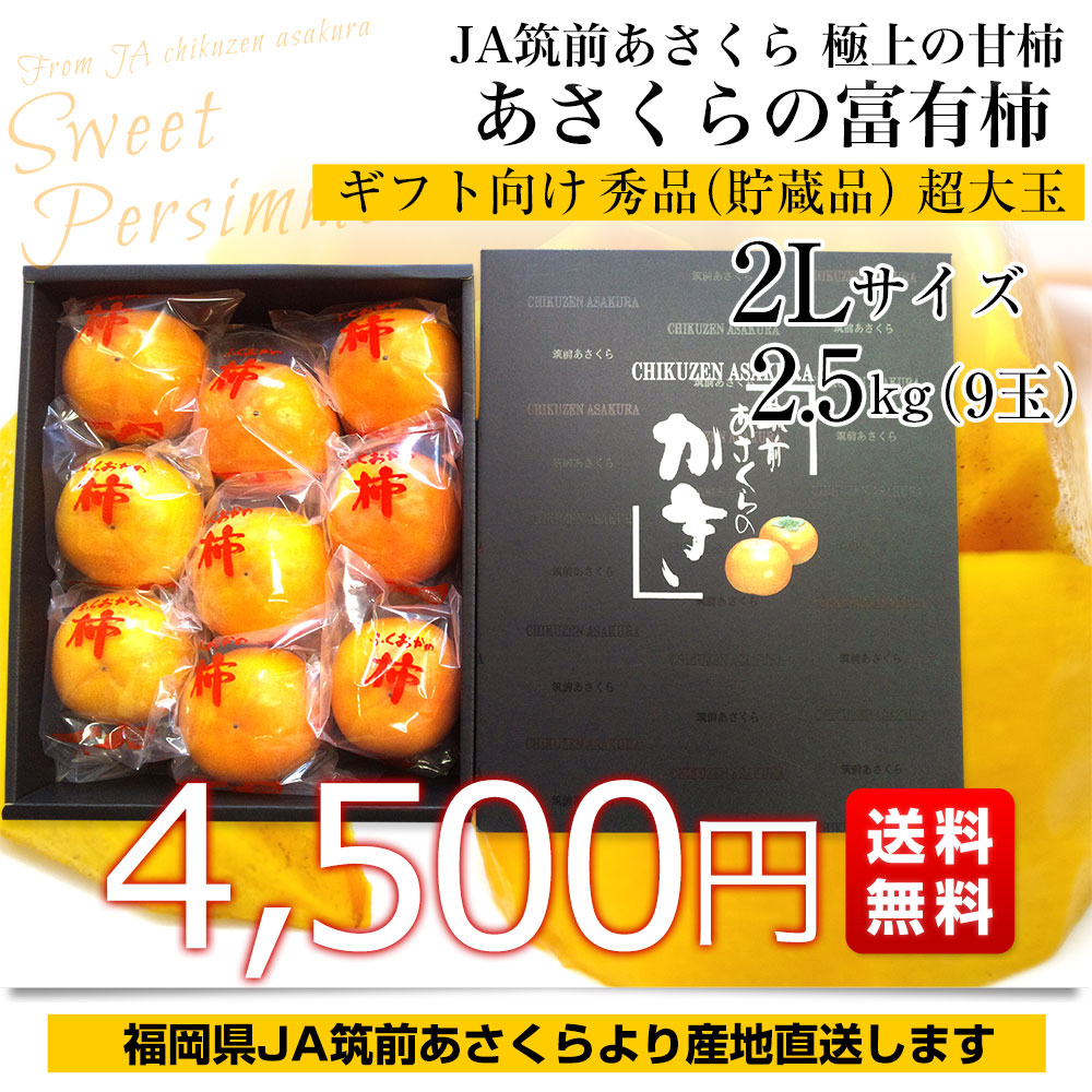 福岡県から産地直送 JA筑前あさくら 朝倉の富有柿 ＜貯蔵品＞ 秀品 2L