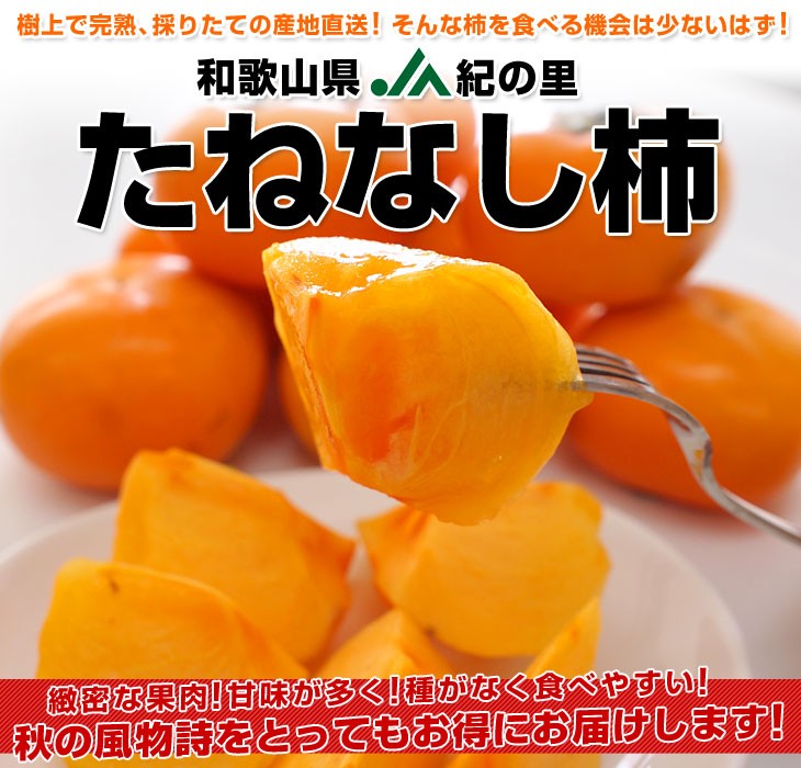 和歌山県産　美味しい　たねなし柿　5kg 硬め　2