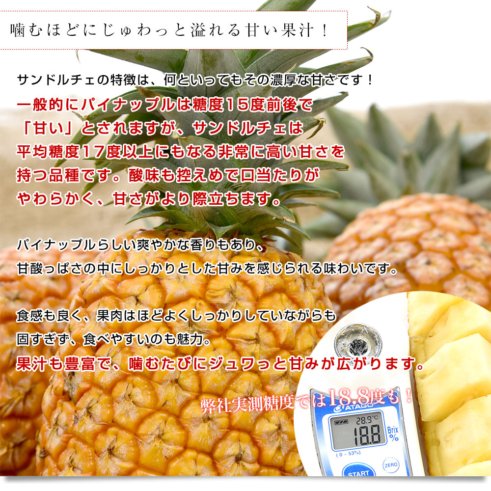 沖縄県産 JAおきなわ パイナップル サンドルチェ Lサイズ以上 3玉