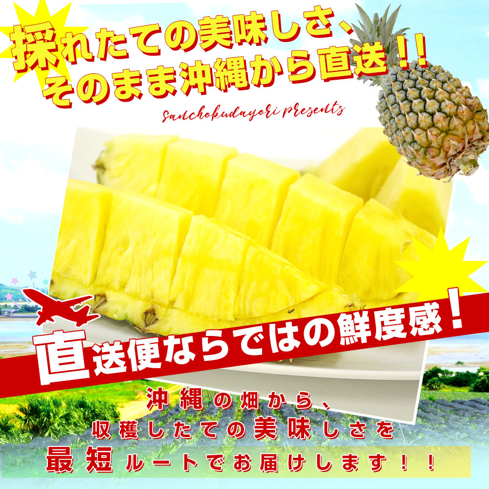 沖縄県より産地直送 JAおきなわ 沖縄県産 ピーチパイン 3玉セット 合計