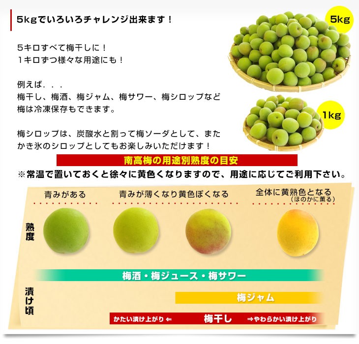 期間限定特別価格 和歌山県 みなべ産 南高梅 完熟梅 梅干し 5kg L