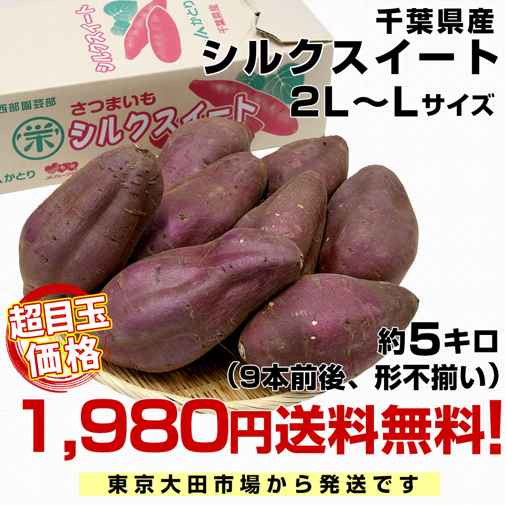 千葉県産 JAかとり シルクスイート 2LからL 約5キロ（形不揃い） 9本前後 送料無料 さつまいも サツマイモ 薩摩芋 新芋 市場発送  :4100922777:産直だより - 通販 - Yahoo!ショッピング