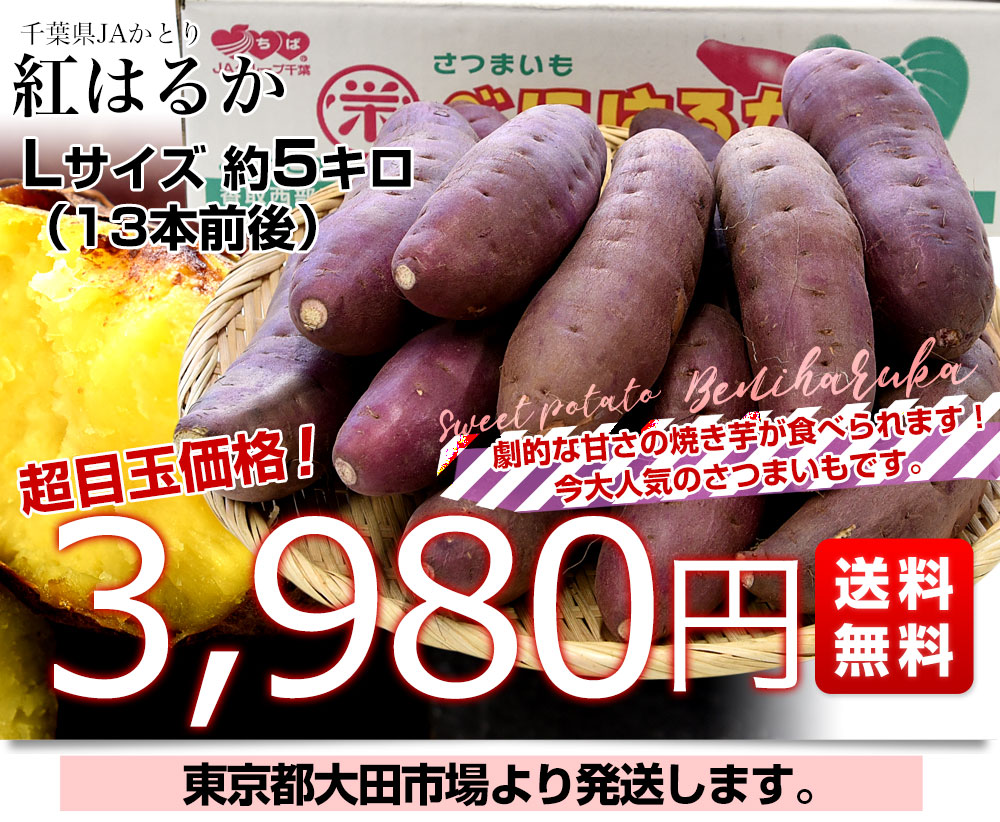 千葉県産 JAかとり 紅はるか Lサイズ 約5キロ 13本前後 送料無料 千葉県産 JAかとり 紅はるか Lサイズ 約5キロ 13本前後 送料無料