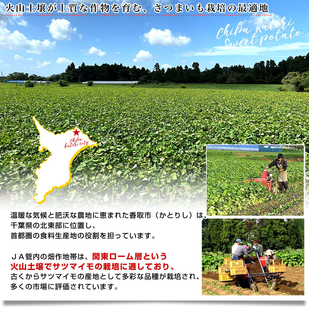高額転売品にご注意ください】茨城県産 紅はるかの干し芋 150g×4