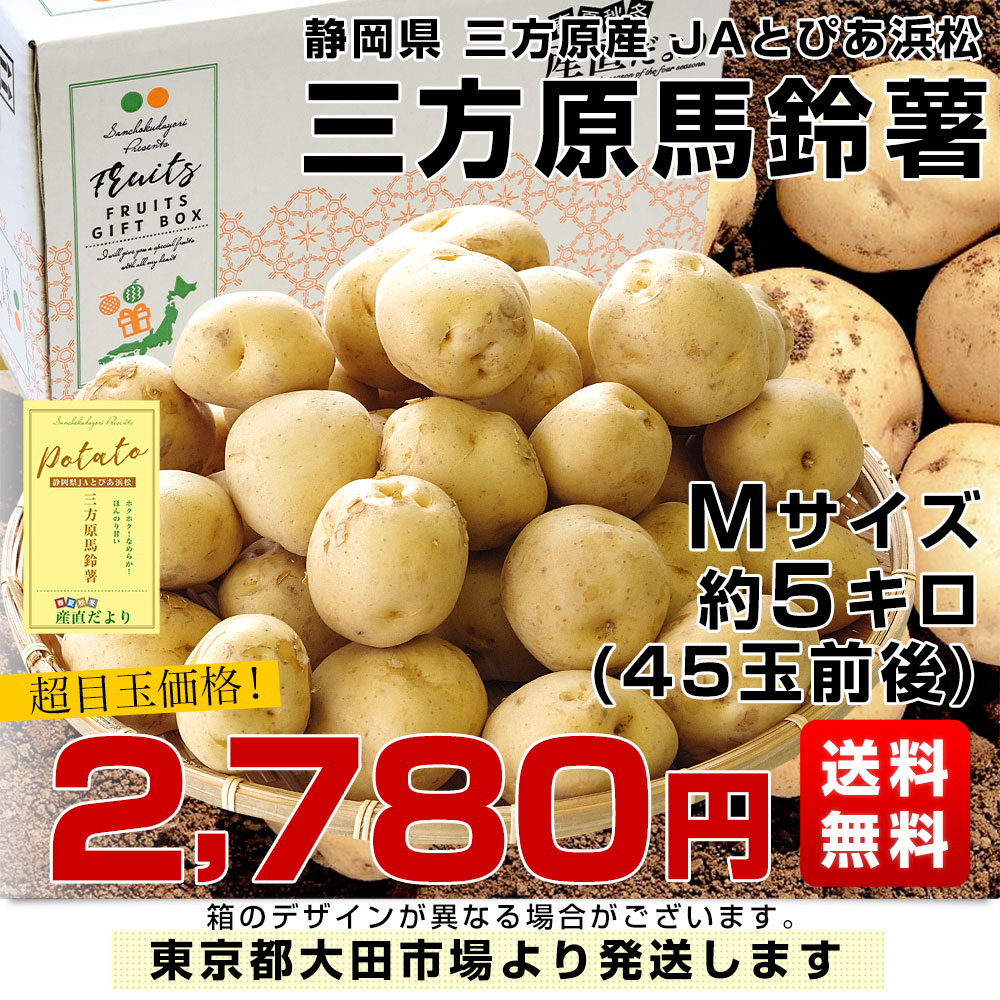 静岡県産 JAとぴあ浜松 三方原馬鈴薯（男爵） Mサイズ 5キロ
