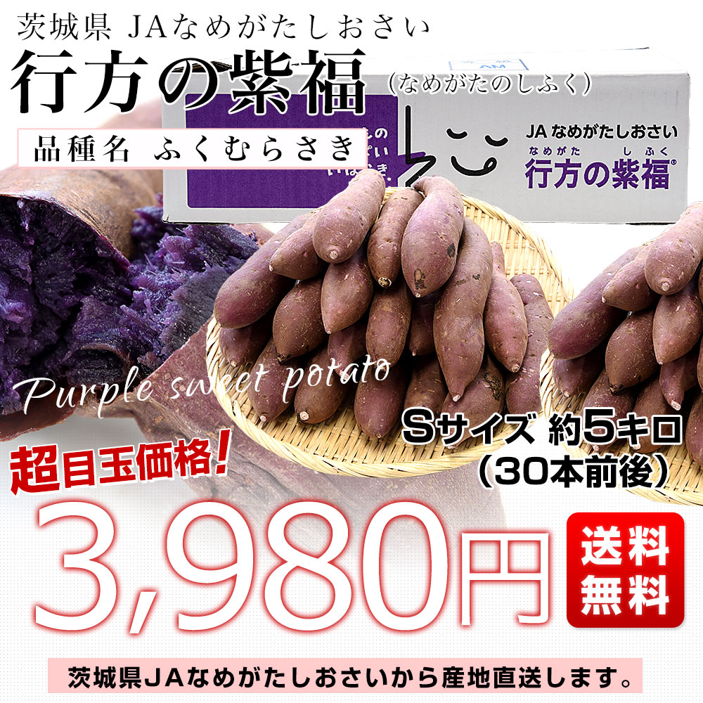 茨城県より産地直送 JAなめがたしおさい 行方の紫福（なめがたのしふく