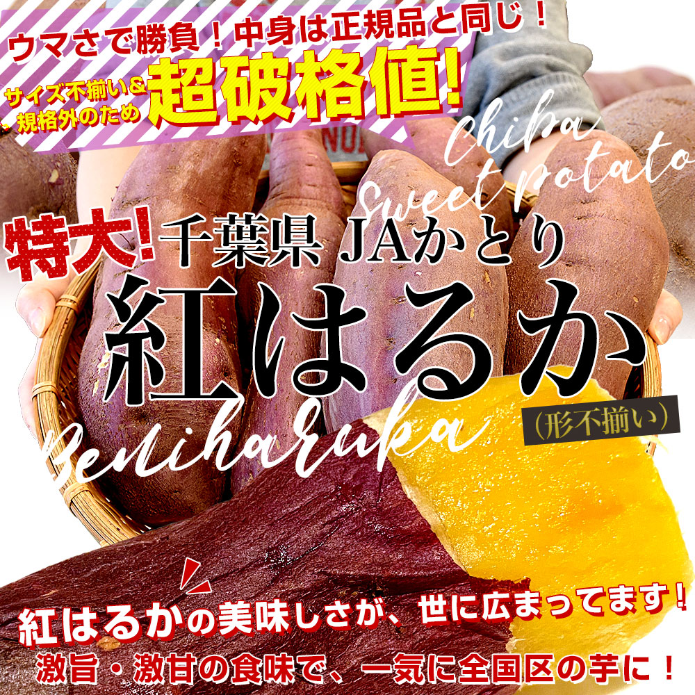 千葉県産 JAかとり 紅はるか B品 3Lサイズ 約5キロ(5〜6本) 送料無料