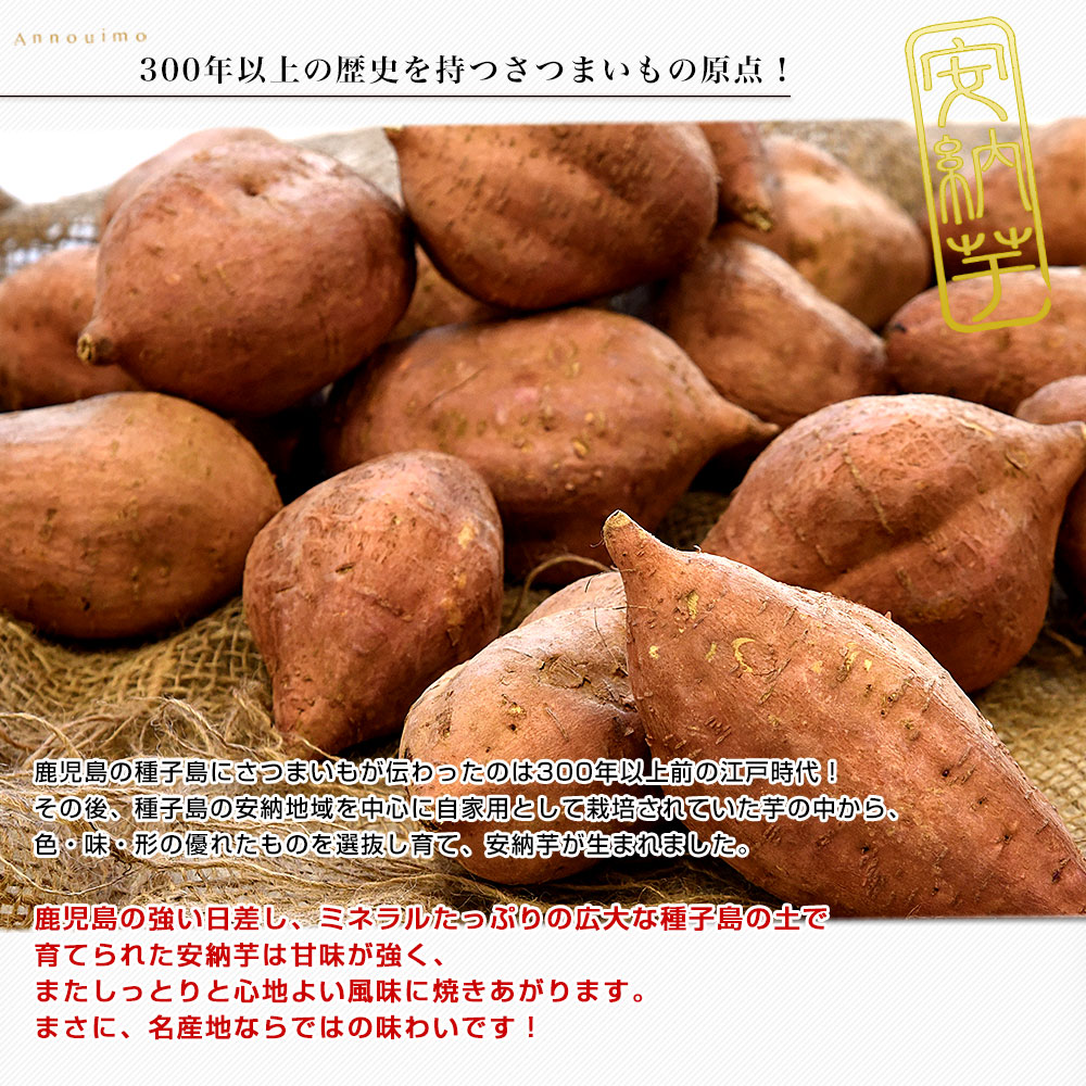 鹿児島県産 安納芋 LからSサイズ 2,5 kg 10本から15本前後 送料無料