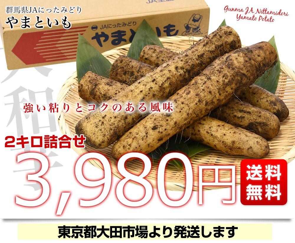 群馬県産 JAにったみどり やまといも 2キロ 送料無料 ヤマトイモ 大和芋 山芋 市場スポット ヤマイモ :4100832468:産直だより -  通販 - Yahoo!ショッピング