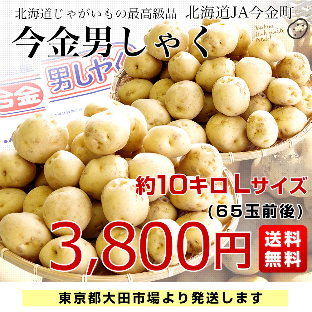 北海道産 JA今金町 じゃがいも 今金男爵 Lサイズ 約10キロ(65玉前後入り) 送料無料 馬鈴薯 ジャガイモ 芋 男爵芋 市場発送  :4100822500:産直だより - 通販 - Yahoo!ショッピング