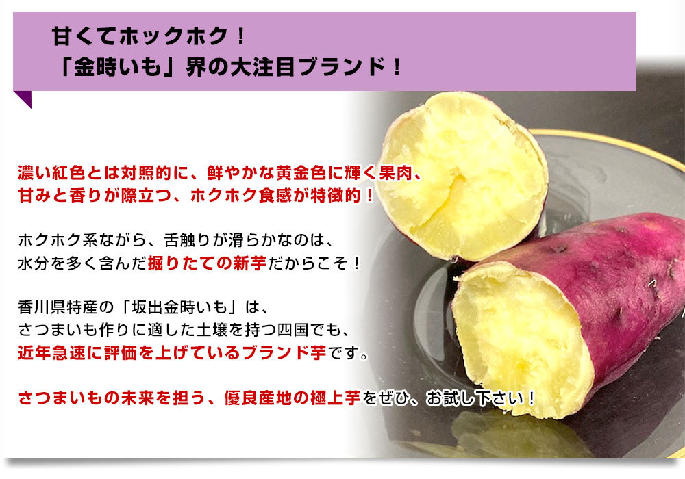 香川県産 JA香川県 坂出金時いも 秀品Lサイズ2.5キロ 9本前後 送料無料