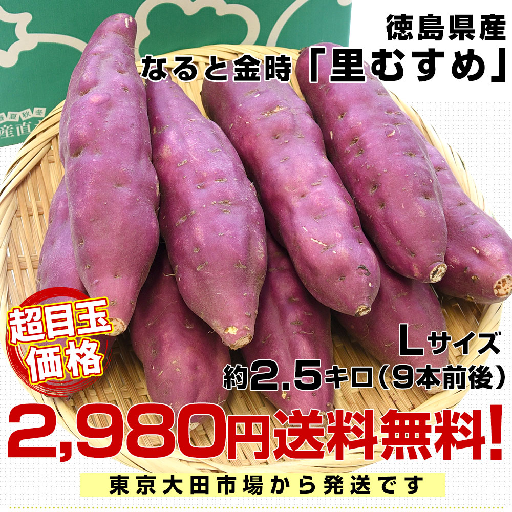 徳島県産 JA里浦 なると金時「里むすめ」 Lサイズ 約2.5キロ 9本前後 送料無料 きんとき さつまいも サツマイモ 薩摩芋 新芋 高系14号  市場発送 :4100922752:産直だより - 通販 - Yahoo!ショッピング