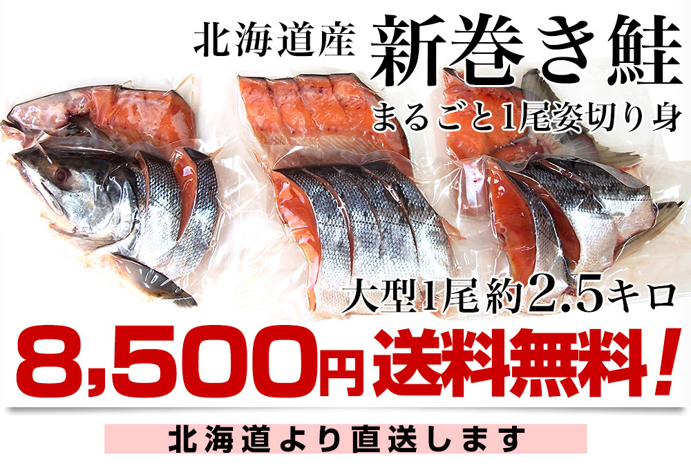 北海道産 姿切り身 大型の鮭 まるごと1尾分 秋鮭 北海道サケ シャケ 3キロ 59 Off