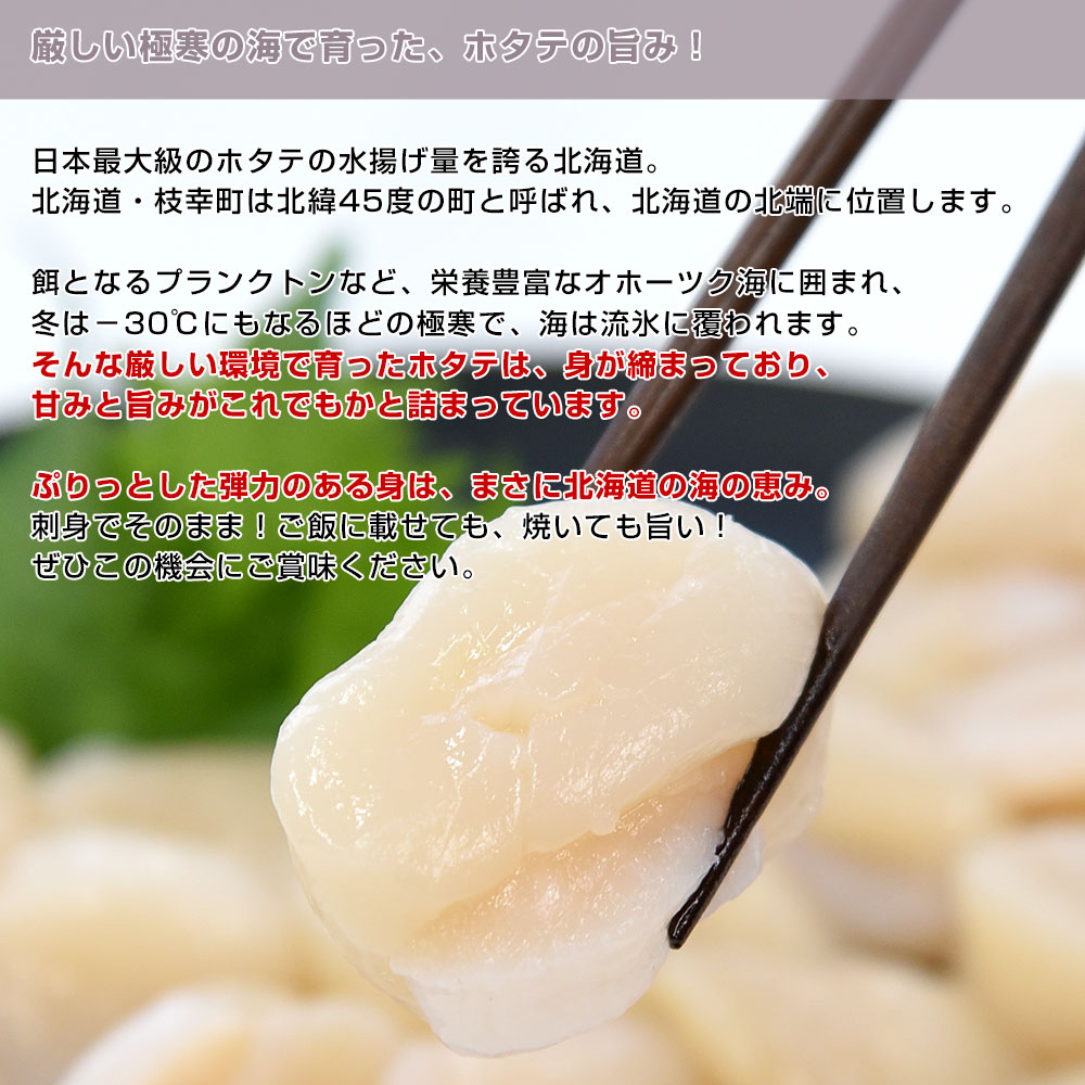 北海道より直送 北海道産 訳あり ほたて貝柱 1キロ 特Aフレーク 送料無料 枝幸帆立 ほたて シーフード ※クール冷凍便 |  | 03
