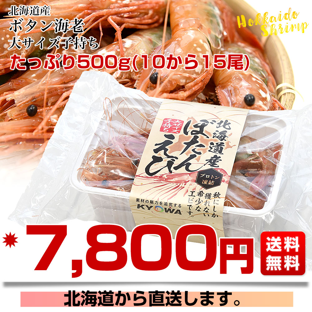 北海道より直送 北海道産 ぼたんえび 大サイズ子持ち 約500g(10尾から15尾) 送料無料 エビ ボタンエビ　牡丹　エビ |  | 02