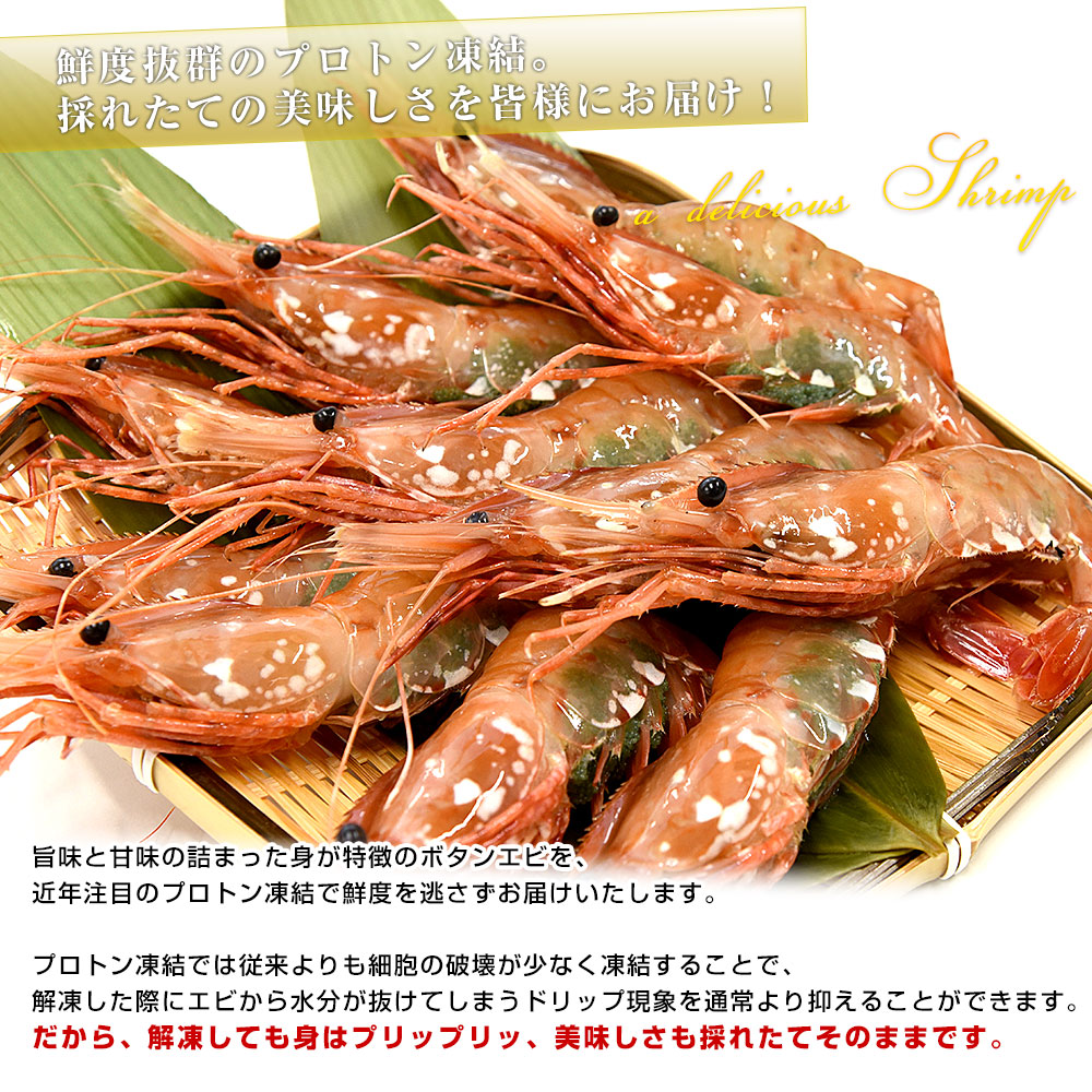 北海道より直送 北海道産 ぼたんえび 大サイズ子持ち 約500g(10尾から15尾) 送料無料 エビ ボタンエビ　牡丹　エビ |  | 04