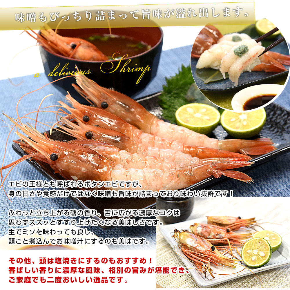 北海道より直送 北海道産 ぼたんえび 大サイズ子持ち 約500g(10尾から15尾) 送料無料 エビ ボタンエビ　牡丹　エビ |  | 05