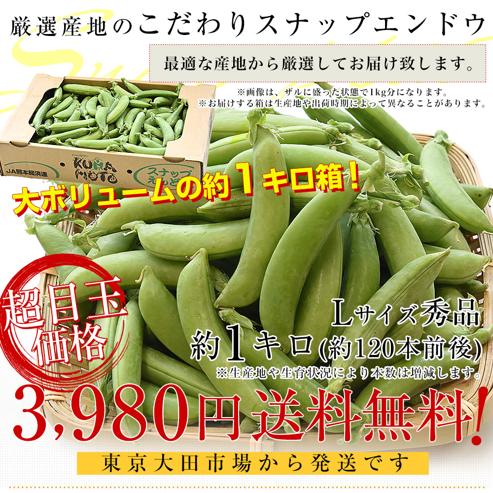スナップエンドウ(大分県産)8kg スナップエンドウ(大分県産)1kg - メルカリ