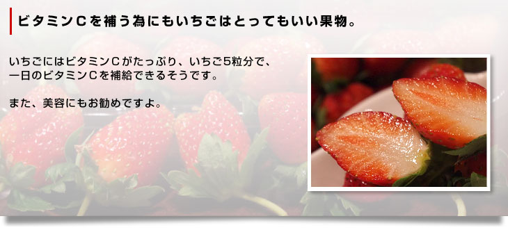 栃乙女草莓图片