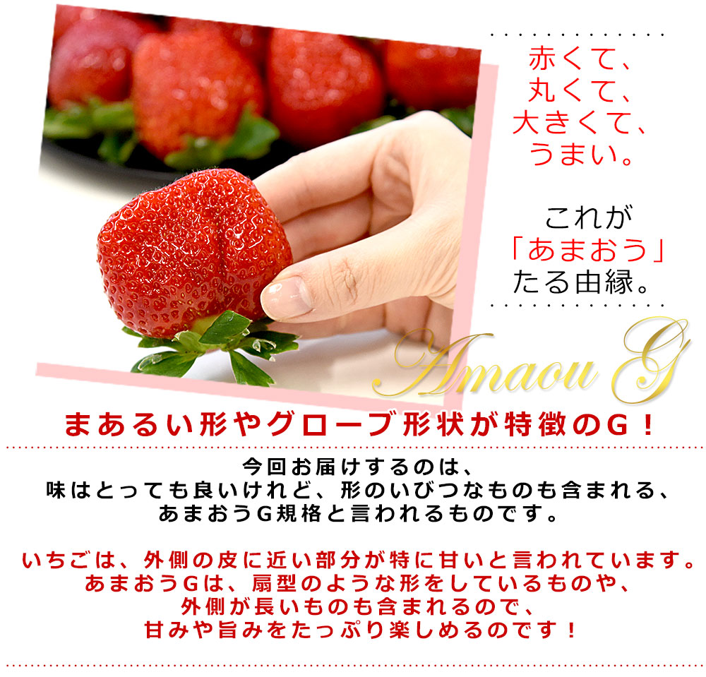 福岡県産 超盛りあまおう G たっぷり2箱 合計1キロ以上（約270g×4入り