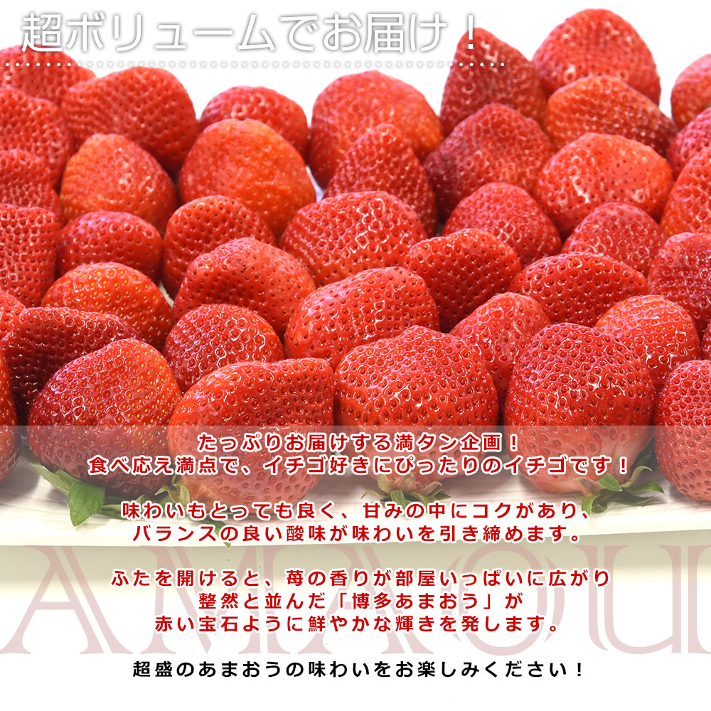福岡県産 超盛りあまおう G たっぷり3箱 合計1.6キロ以上（約270g×6