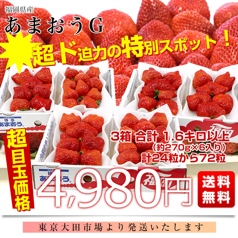 福岡県産 超盛りあまおう G たっぷり3箱 合計1.6キロ以上（約270g×6