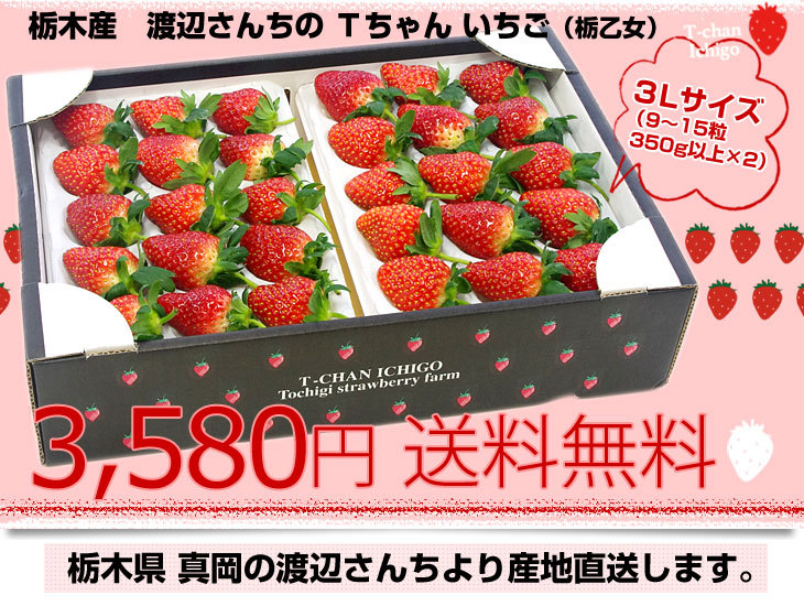 栃木県より産地直送 渡辺さんちのTちゃんいちご(栃乙女) 350g以上×2パック 3Lサイズ(9から15粒×2P） 苺 イチゴ 送料無料 ※クール便発送