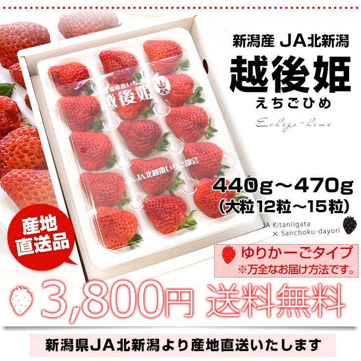 新潟県より産地直送 JA北越後 越後姫(えちごひめ) 440から470g(12粒から15粒入り) ゆりカーゴタイプ イチゴ 苺 いちご ※クール便発送｜sanchokudayori｜03