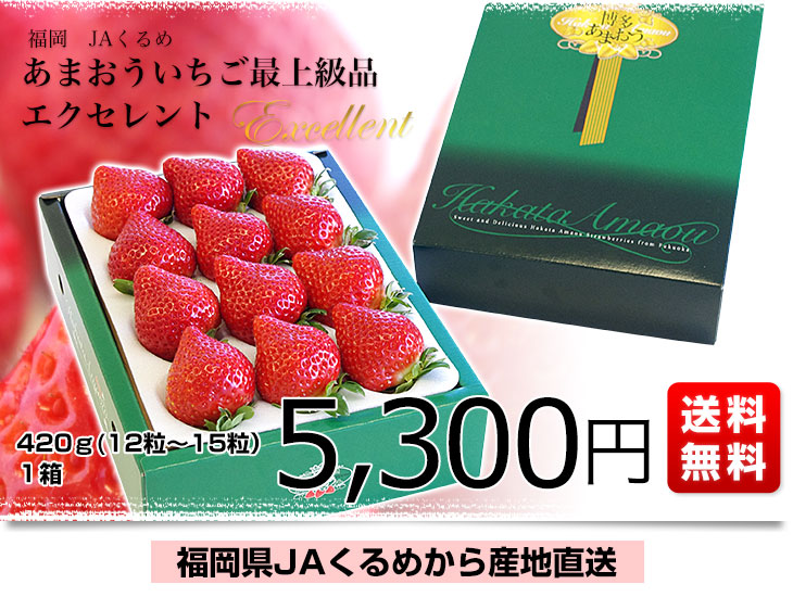 いちご 特注大玉 おいCベリー【木箱入高級いちご】 | 高級フルーツ