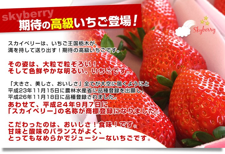 栃木県より産地直送 JAおやま スカイベリー 約300g×2P(6から12粒×2P) 送料無料 いちご イチゴ 苺 ※クール便発送  :1211111360-c1:産直だより - 通販 - Yahoo!ショッピング