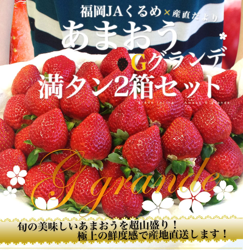 福岡県より産地直送 JAくるめ あまおう Gグランデ 2箱セット 合計